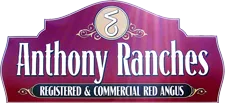Anthony Ranches — home